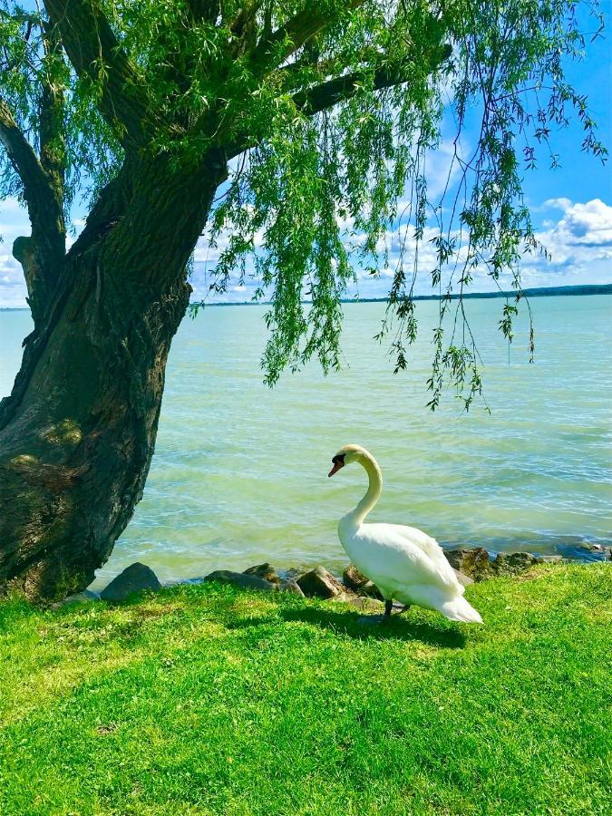 Lavender Cottage Balatongyörök Eksteriør bilde